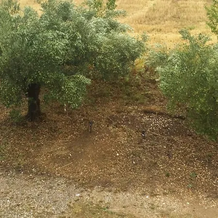 Eva Апартаменты